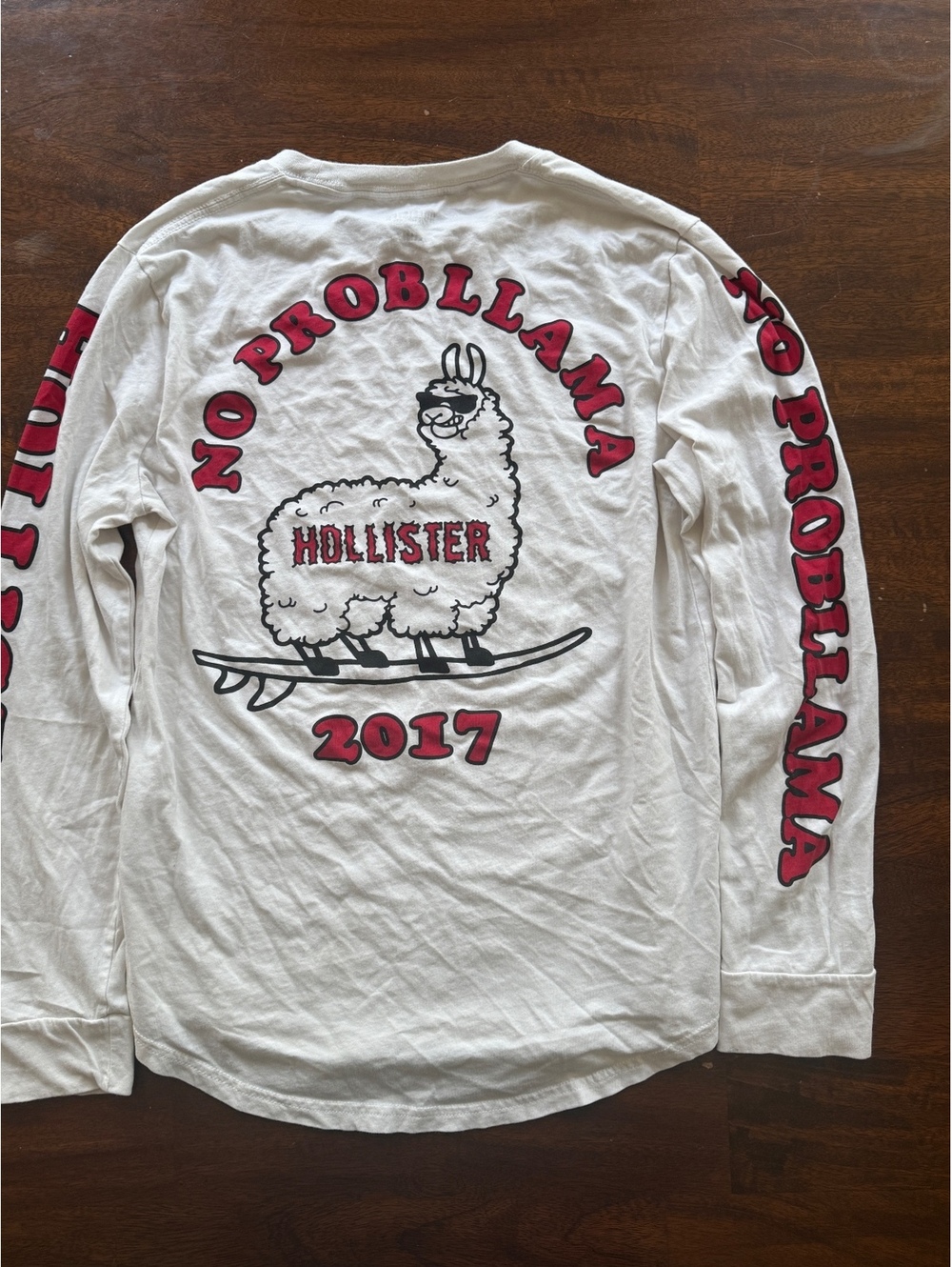 Hollister No Probllama 2017 Long Sleeve Shirt XS